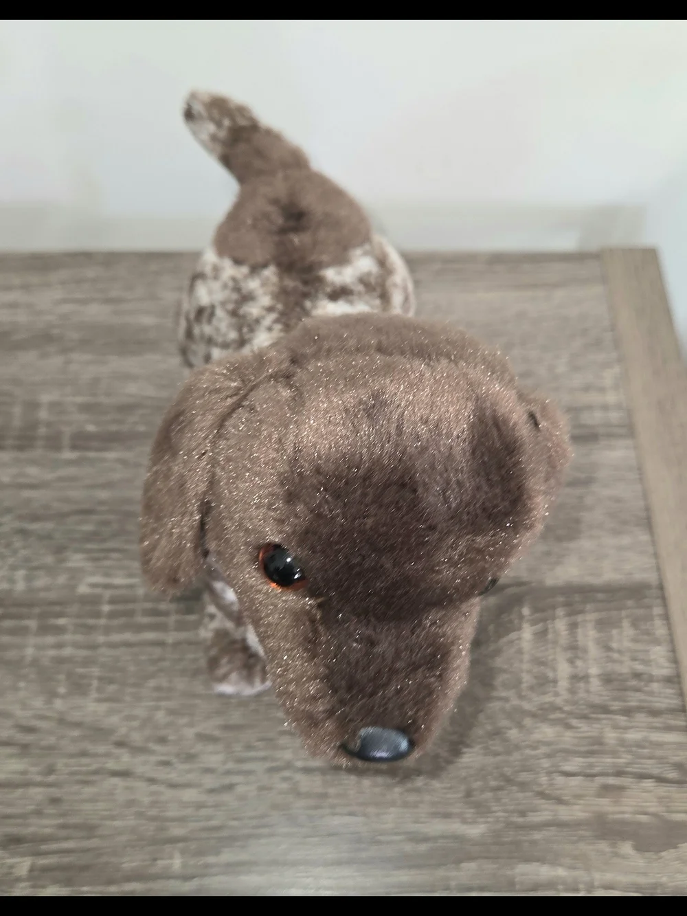 Douglas lvan German Short Haired Pointer Plush Realistic Dog Puppy 8